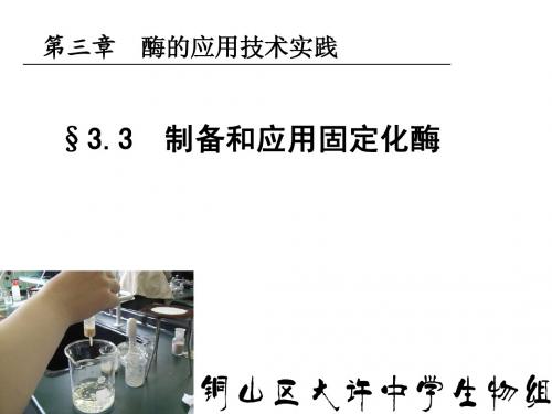 3.3制备和应用固定化酶