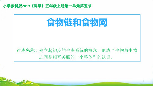 五年级科学上册-食物链和食物网6-教科版PPT(26张)