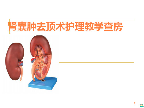 肾囊肿去顶术护理 ppt课件