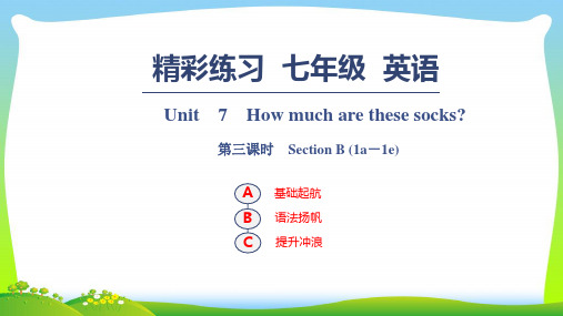 人教版七年级英语上册习题课件：Unit 7 第三课时 Section B (1a-1e).ppt