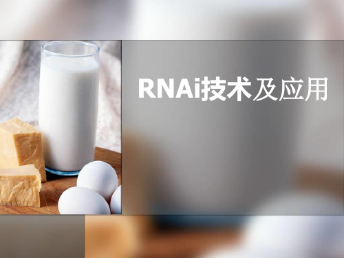 RNAi技术