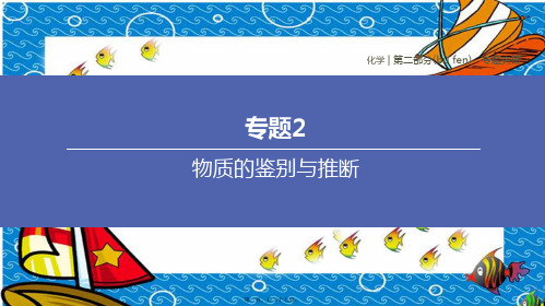 中考化学复习方案 专题02 物质的鉴别与推断课件