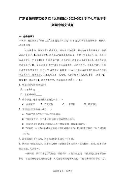 广东省深圳市实验学校(坂田校区)2023-2024学年七年级下学期期中语文试题