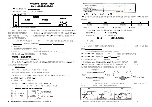 高一生物必修一第四章导学案