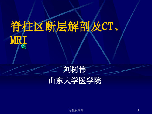 脊柱区断层解剖及CT、MRIppt课件