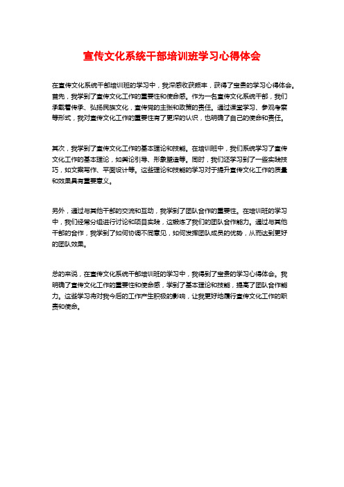 宣传文化系统干部培训班学习心得体会