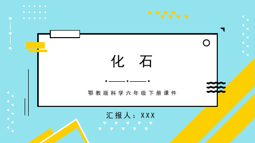 鄂教版科学六年级下册课件化石PPT模板