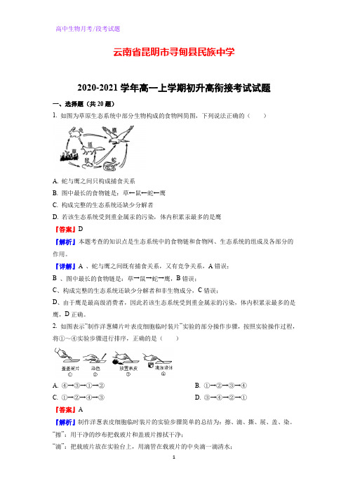 2020-2021学年云南省昆明市寻甸县民族中学高一上学期初升高衔接考试生物试题(解析版)