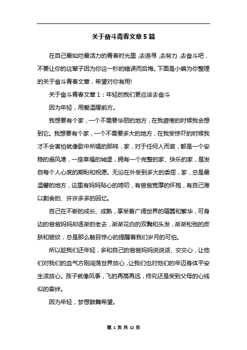 关于奋斗青春文章5篇