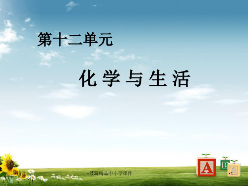 九年级化学下册第12单元课题1人类重要的营养物质课件1新人教版