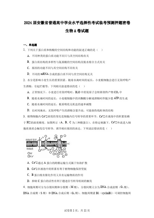 2024届安徽省普通高中学业水平选择性考试临考预测押题密卷生物A卷试题