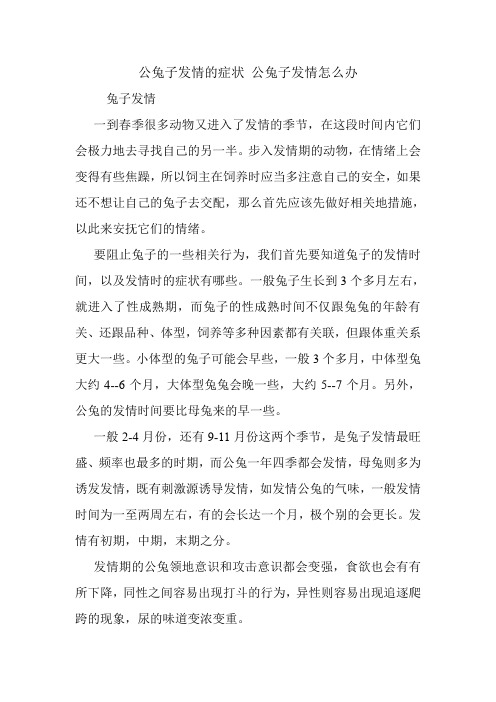 公兔子发情的症状 公兔子发情怎么办