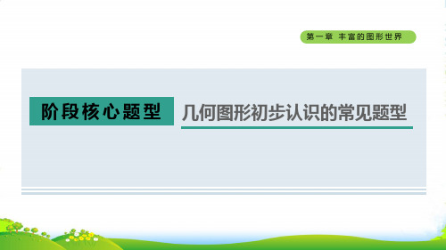 六年级数学上册 第一章 丰富的图形世界阶段核心题型 几何图形初步认识的常见题型 鲁教五四制