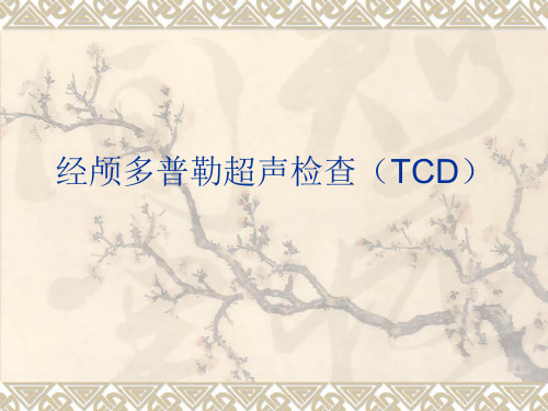 经颅多普勒超声检查(TCD)