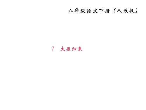 2017-2018学年八年级语文下册(人教版)课件：7 大雁归来(共22张PPT)