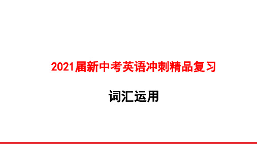 2021届新中考英语冲刺精品复习词汇运用