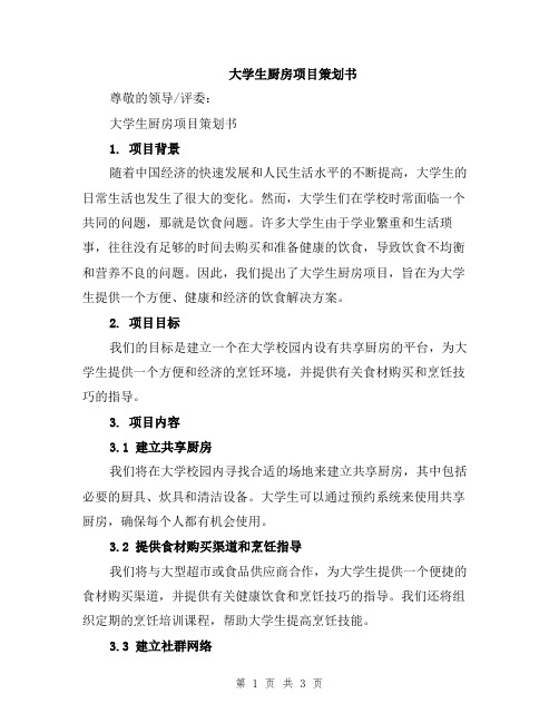 大学生厨房项目策划书