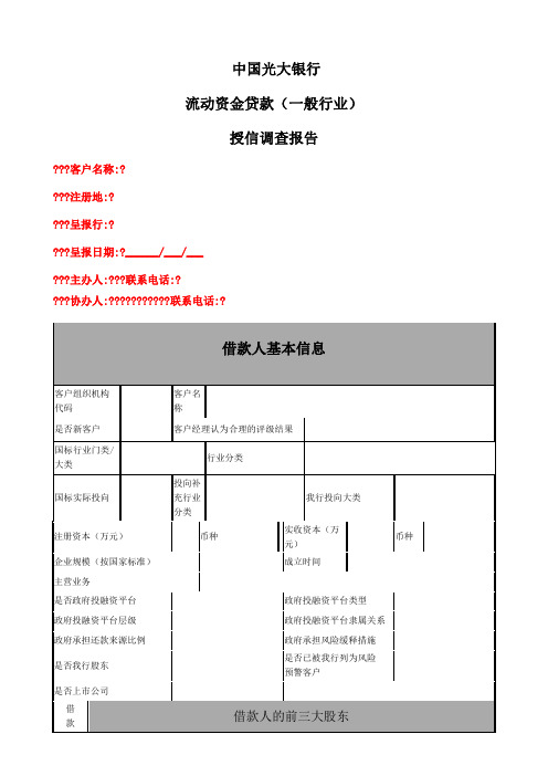 中国光大银行授信调查审查报告 (模版)