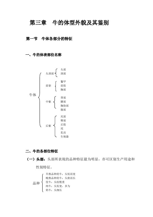 牛的体型外貌体尺及其鉴别