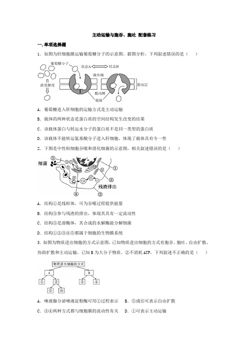 主动运输与胞吞、胞吐 配套练习 2022-2023学年高一上学期生物人教版必修1