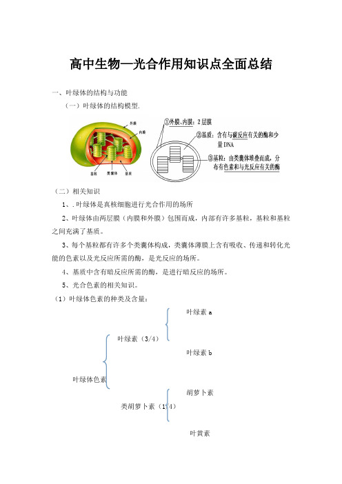 高中生物—光合作用知识点全面总结