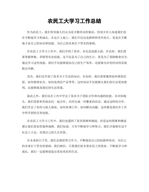 农民工大学习工作总结