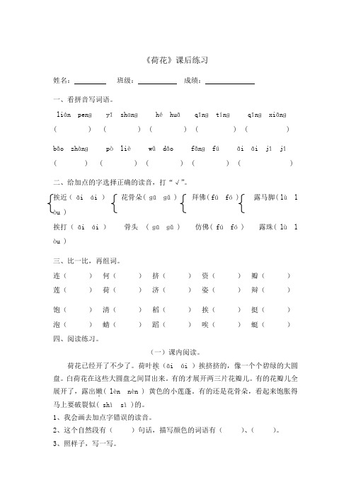 统编版(教育部编写)人教版三年级下册语文练习- 3 荷花)