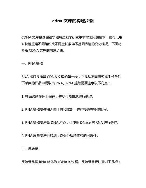 cdna文库的构建步骤