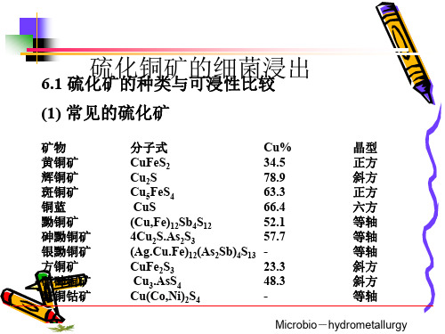 硫化铜矿细菌浸出