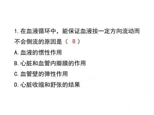 苏教版七年级下册生物课件(17张)：10.2人体的血液循环