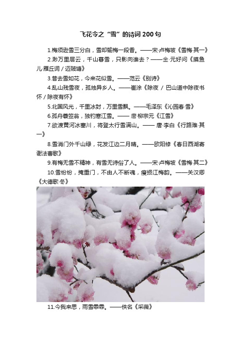 飞花令之“雪”的诗词200句