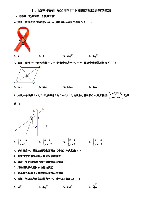四川省攀枝花市2020年初二下期末达标检测数学试题含解析
