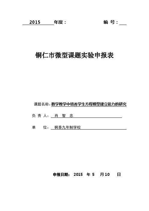 初中数学微型课题申报表