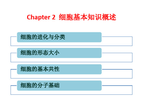 高中生物《细胞基本知识概述》课件