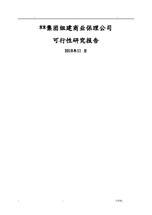 某集团组建商业保理公司可行性研究报告