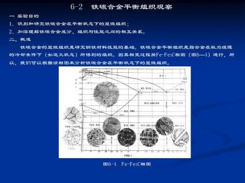 铁碳合金