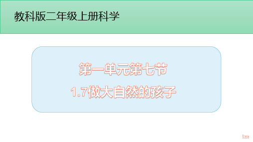 二年级上册科学课件1.7做大自然的孩子教科版(2017)(共9张PPT)