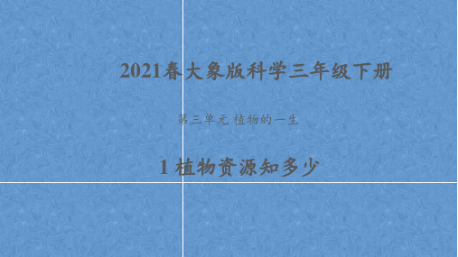 2021春大象版科学三年级下册第三单元《植物的一生》课件