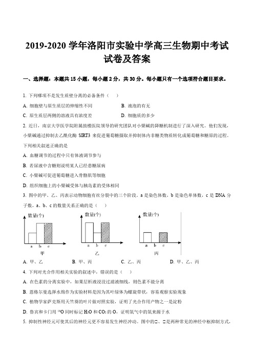 2019-2020学年洛阳市实验中学高三生物期中考试试卷及答案