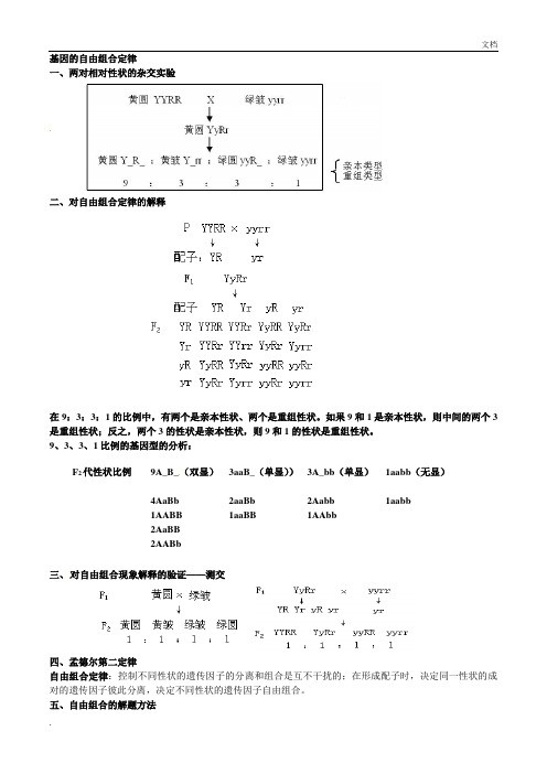 自由组合定律复习(知识点+习题)