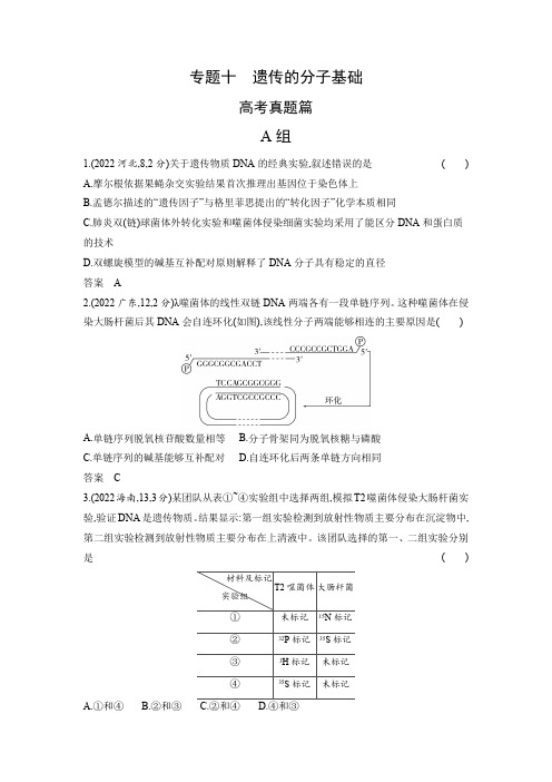 高考生物专题复习-专题十遗传的分子基础-高考真题篇(附答案)