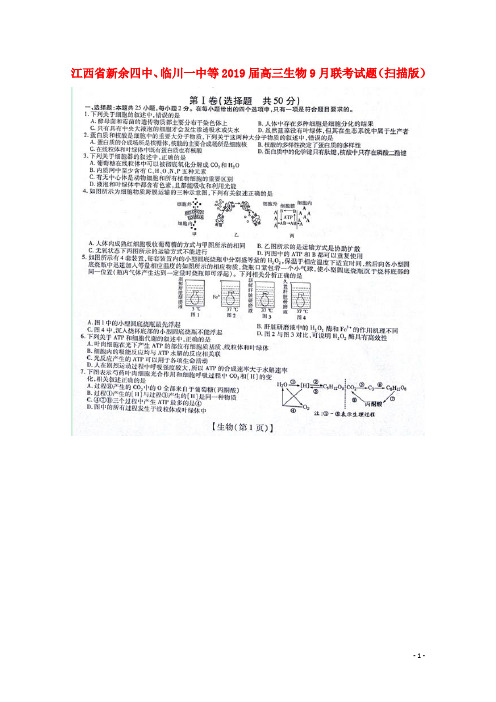 江西省新余四中、临川一中等2019届高三生物9月联考试题(扫描版)