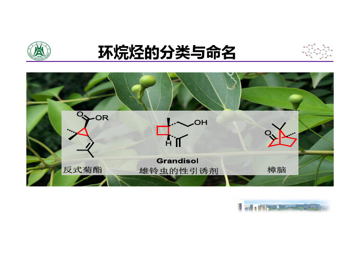 2.4 环烷烃的简介与命名