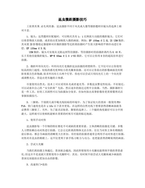 昆虫微距摄影技巧