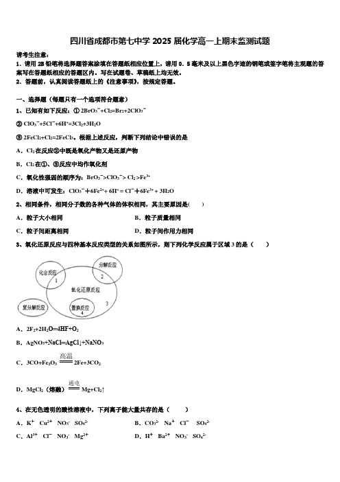 四川省成都市第七中学2025届化学高一上期末监测试题含解析