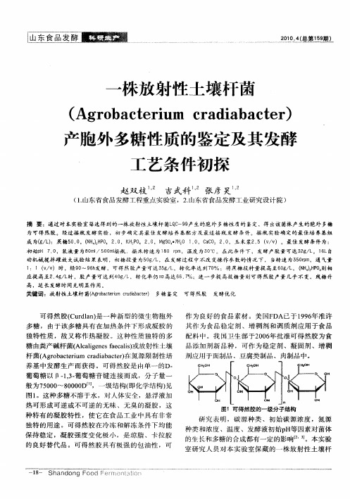 一株放射性土壤杆菌(Agrobacterium cradiabacter)产胞外多糖性质的鉴定及其发酵工艺条件初探