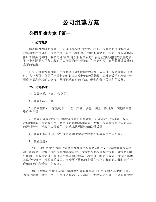 公司组建方案