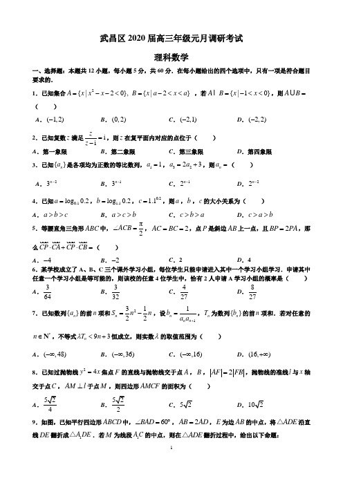 武昌区2020届高三元月调考 理科数学及答案