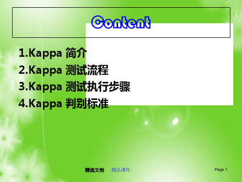 KAPPA_实施方法.ppt