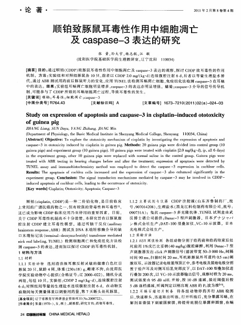 顺铂致豚鼠耳毒性作用中细胞凋亡及caspase-3表达的研究